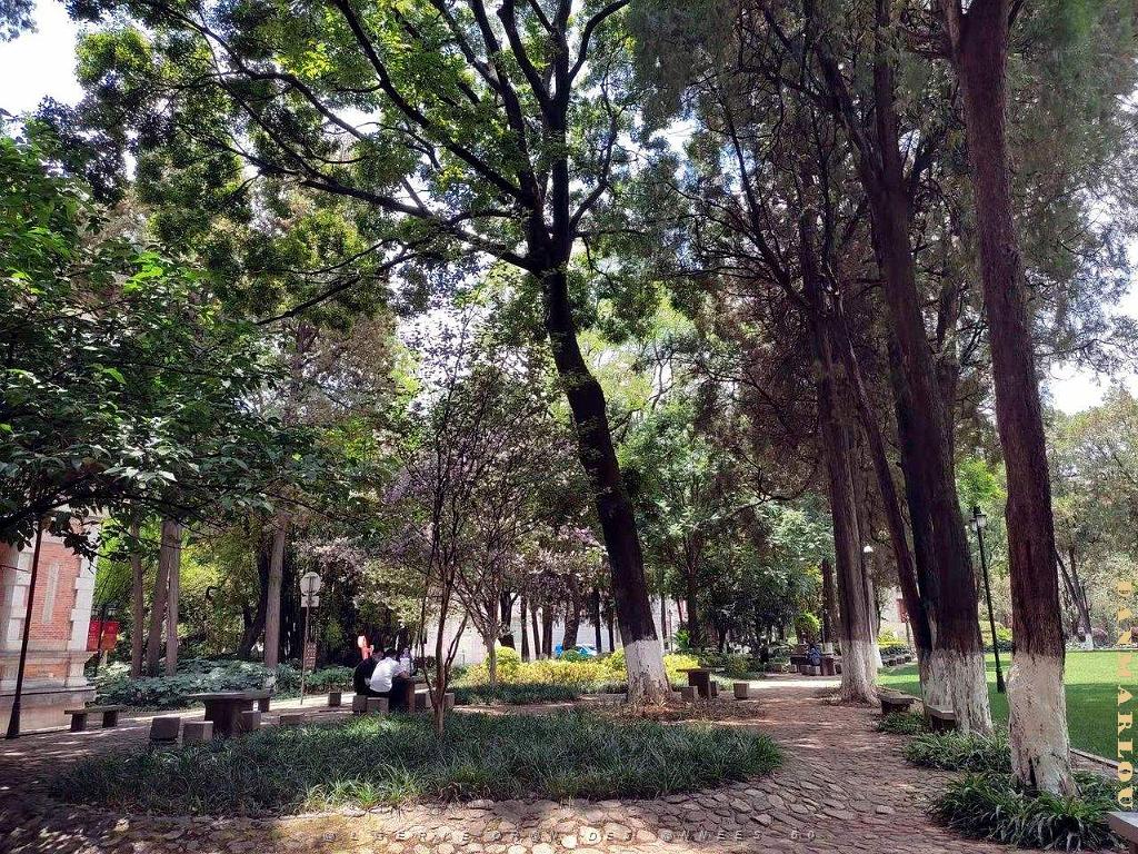 Kunming - Universite du Yunnan (32).jpg